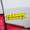 Biohazard Symbol Funny Novelty Car Window Bumper Vinyl Decal Slap Sticker