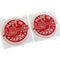 Made In Japan Flag 3D Wing Shield Domed Gel Decal Sticker Badges JDM