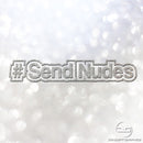 Funny Hashtag Send Nudes Meme Glitter Vinyl Decal Sticker